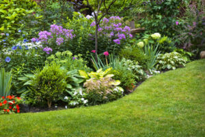 Home - Grubbs Landscaping Services - Ocala, FL